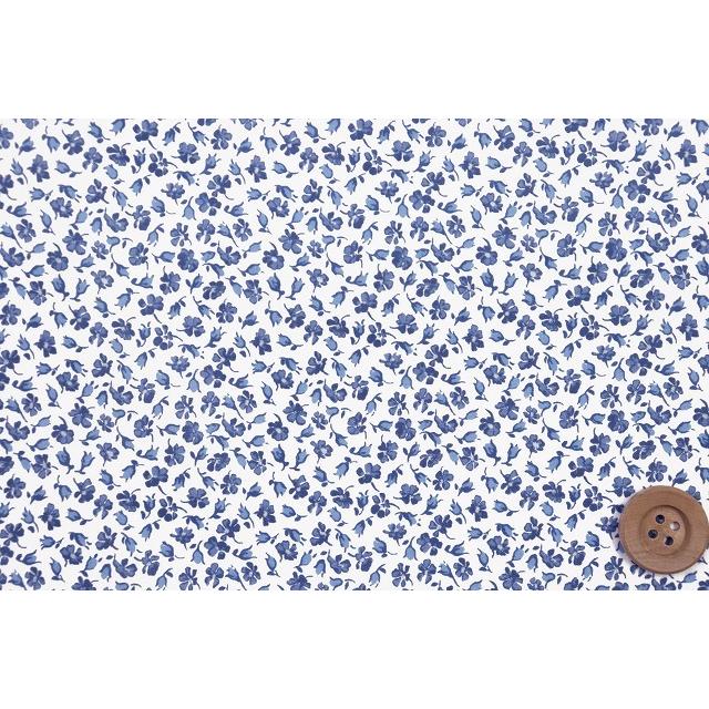 ローズ様 4960yndzwc_2309_i_01.jpg