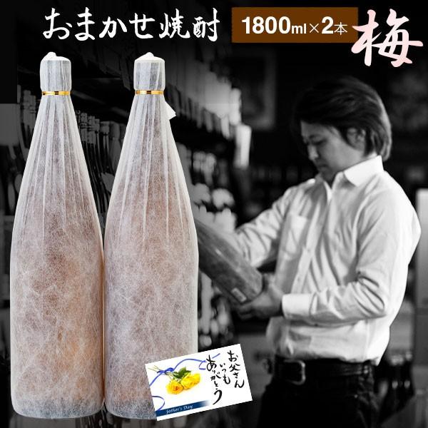 父の日 芋焼酎 飲み比べセット 1800ml×2本 酒舗三浦屋 おまかせ 鹿児島 ギフト お祝い｜syuhomiuraya1998