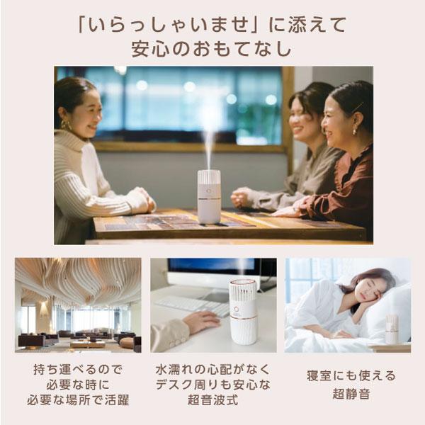日本製 パーソナル加湿器 red-60 スーパー次亜水対応噴霧器 次亜塩素酸