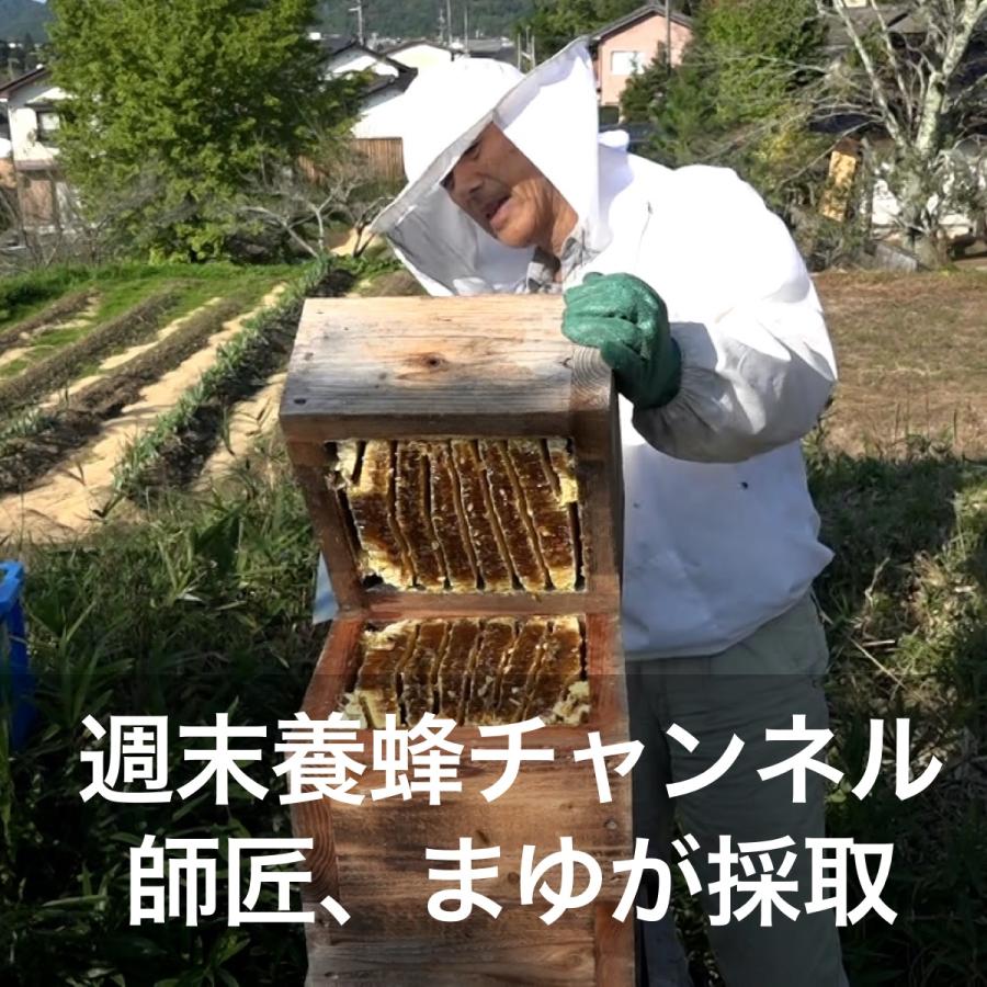 ニホンミツバチのハチミツ (京都府産)【300g】 :h2:週末養蜂家ショップ