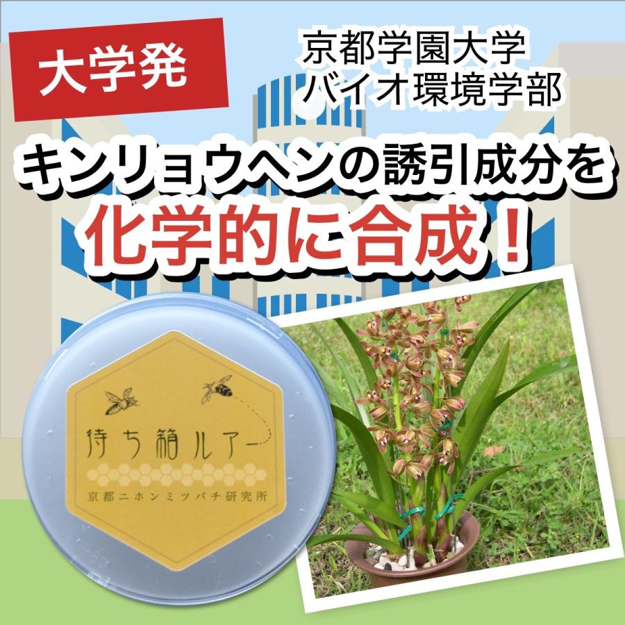日本人気超絶の ミツバチ誘引剤 5つセット 誘引ルアー ニホンミツバチ 