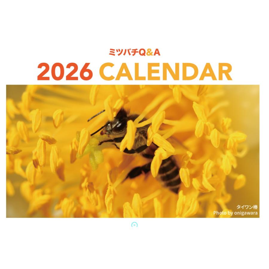 ミツバチQ&Aカレンダー2026 | 