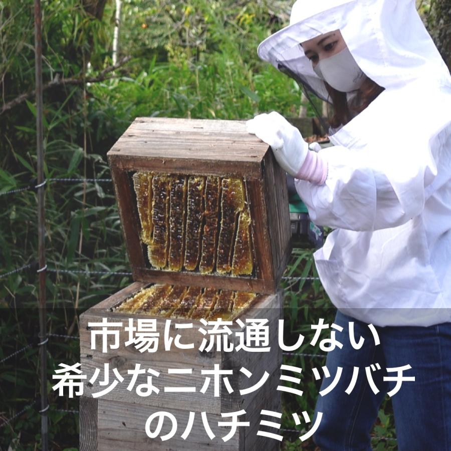 ニホンミツバチのハチミツ (京都府産)【300g】｜syumatsuyoho｜03