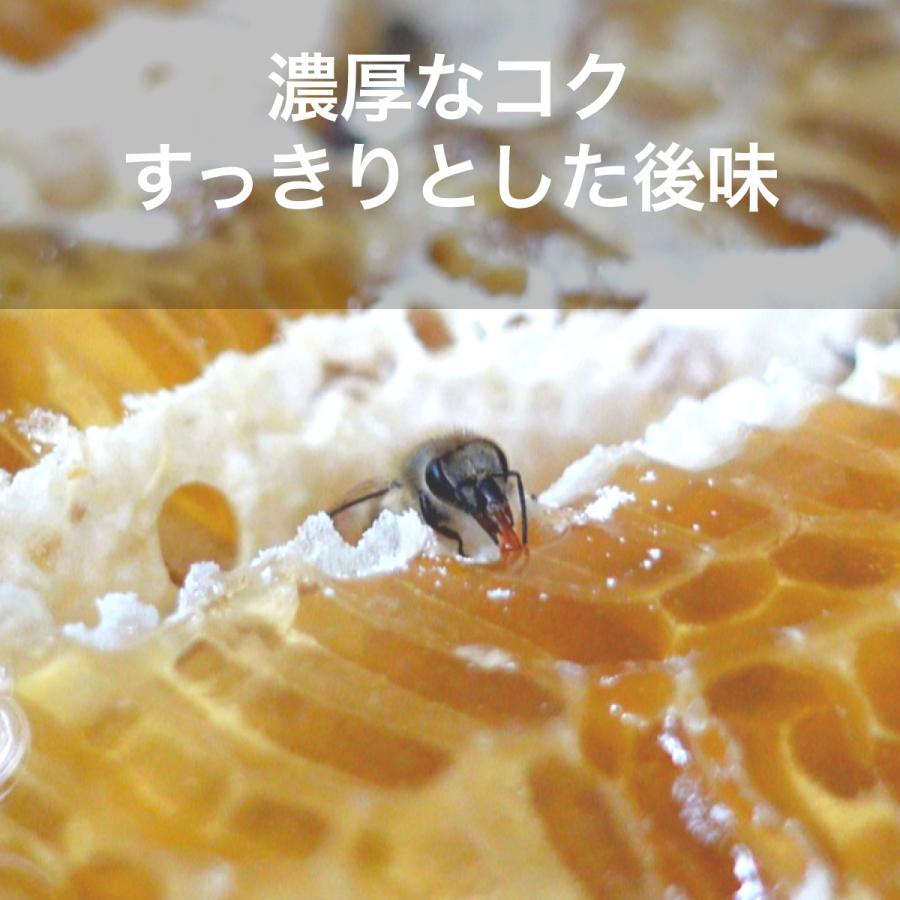 ニホンミツバチのハチミツ (京都府産)【300g】｜syumatsuyoho｜05