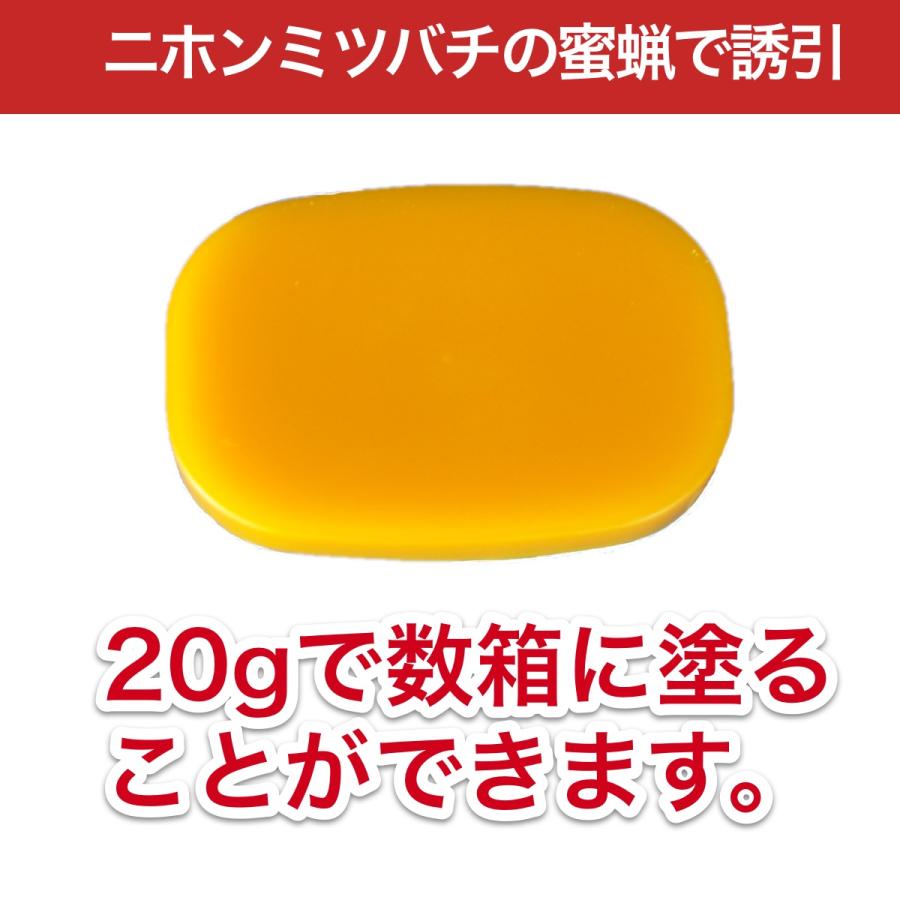 待ち箱ルアーで始める！週末養蜂スタートキット : 週末養蜂家ショップ
