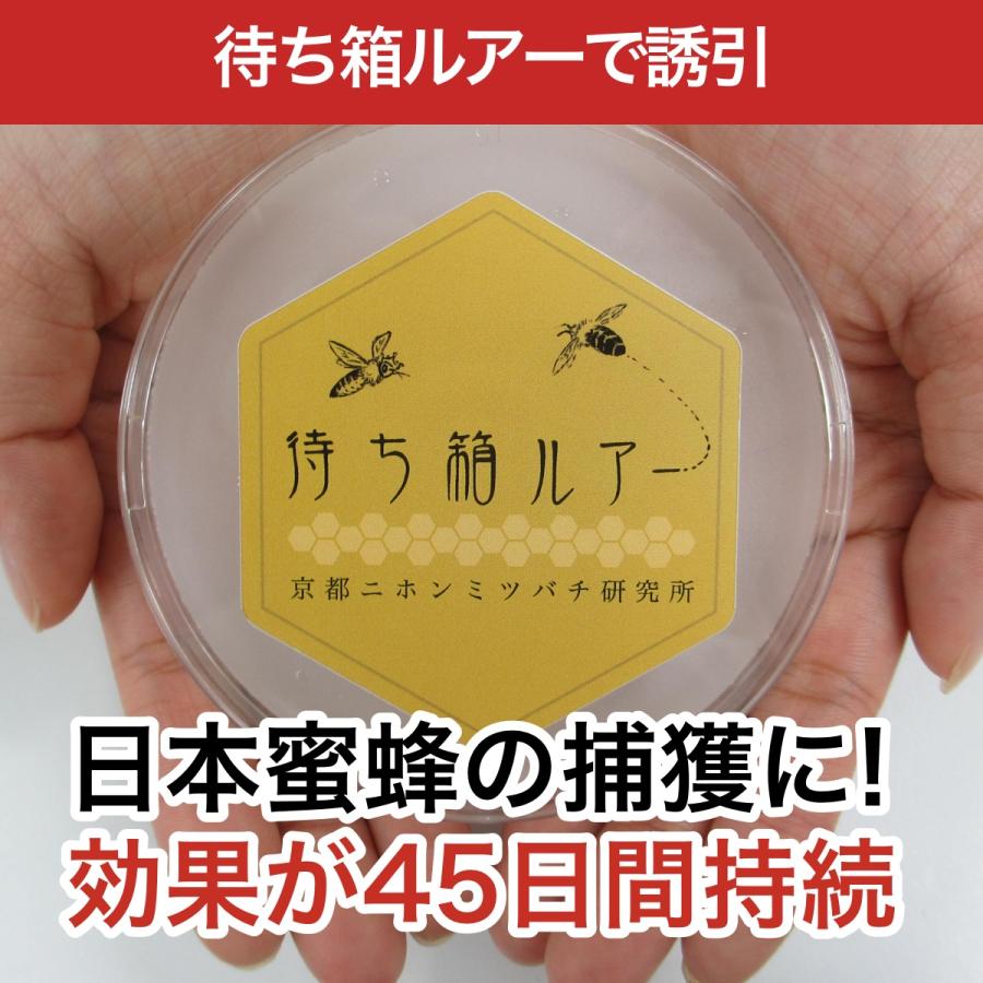 待ち箱ルアーで始める！週末養蜂スタートキット : 週末養蜂家ショップ