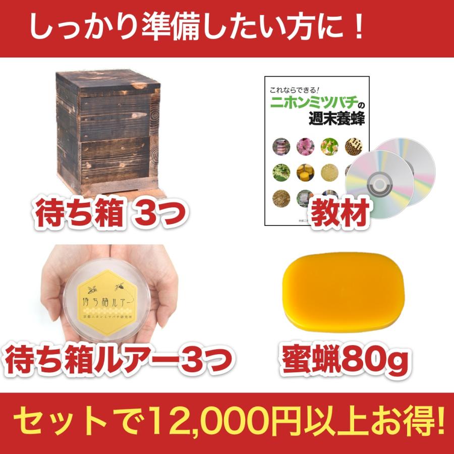 待ち箱ルアー　　3個セット 待ち箱ルアーで始める！週末養蜂スタートキット 3セット : 週末養蜂家