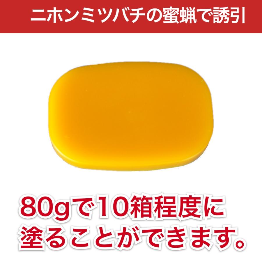 待ち箱ルアーで始める！週末養蜂スタートキット 3セット : 週末養蜂家
