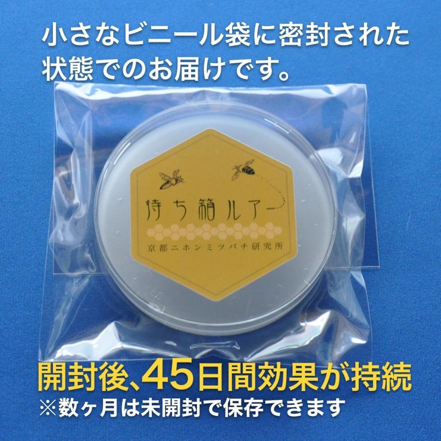 待ち箱ルアー(10個セット) : 週末養蜂家ショップ - 通販 - Yahoo