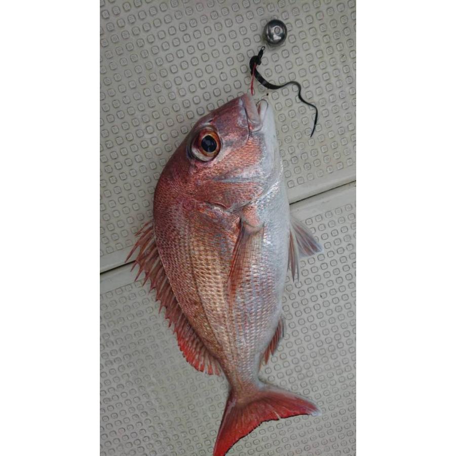 タイラバ タングステンヘッド 60g オレンジ4個 送料無料 高品質