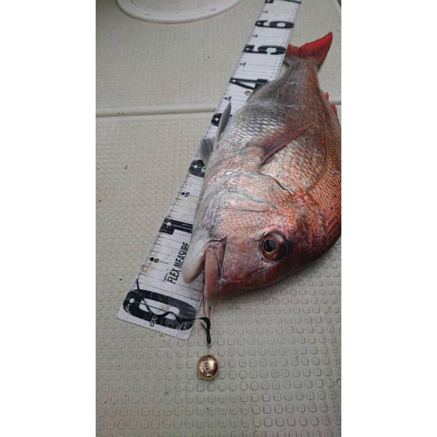 タイラバ タングステンヘッド 200g 2個 送料無料 高品質純度97.5