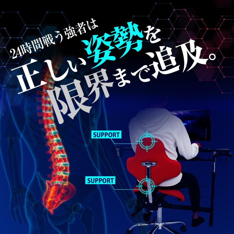 STRASSE GAMING LAB 腰痛対策チェア　椅子　ゲーミングチェア　オフィスチェア パソコンチェア [ハンコン ストラッセ] STRASSE GAMING LAB