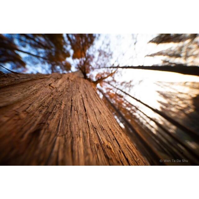 LAOWA（ラオワ） LAOWA 9mm F5.6 W-Dreamer 各マウント : 双眼鏡と