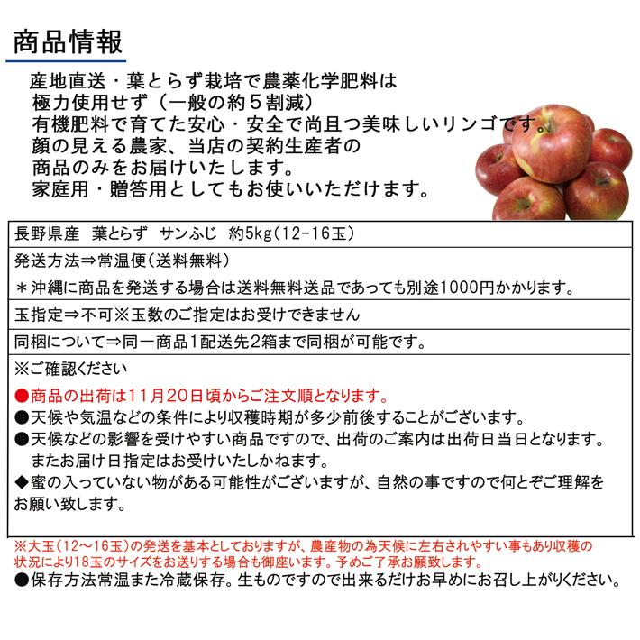 信州産 りんご 葉とらず サンふじ 約5kg（12-18玉）　送料無料 完熟 リンゴをお届けします。｜syun-sai｜05