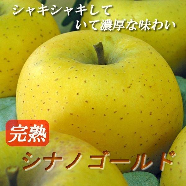 ≪今が旬≫長野県産 りんご シナノゴールド　5kg（12-18玉）送料無料でお届けします｜syun-sai