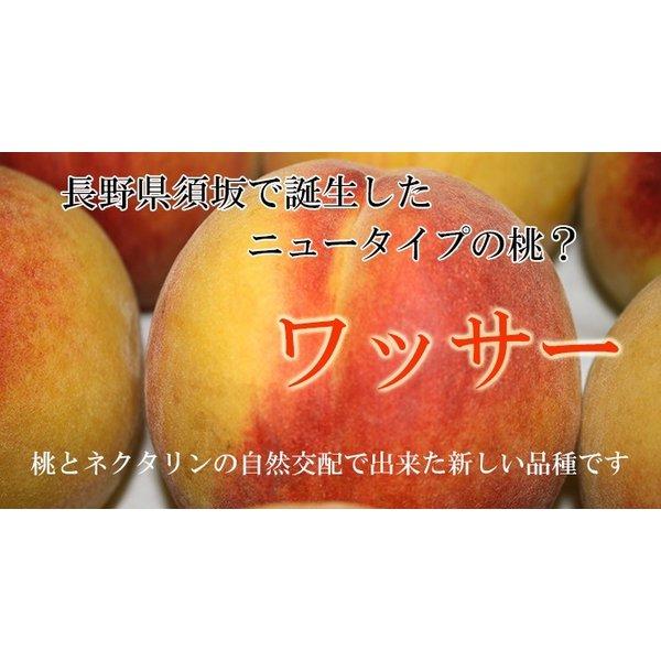 長野県産 ワッサー 約2kg 送料無料 桃 希少品種 : 旬彩ねっと