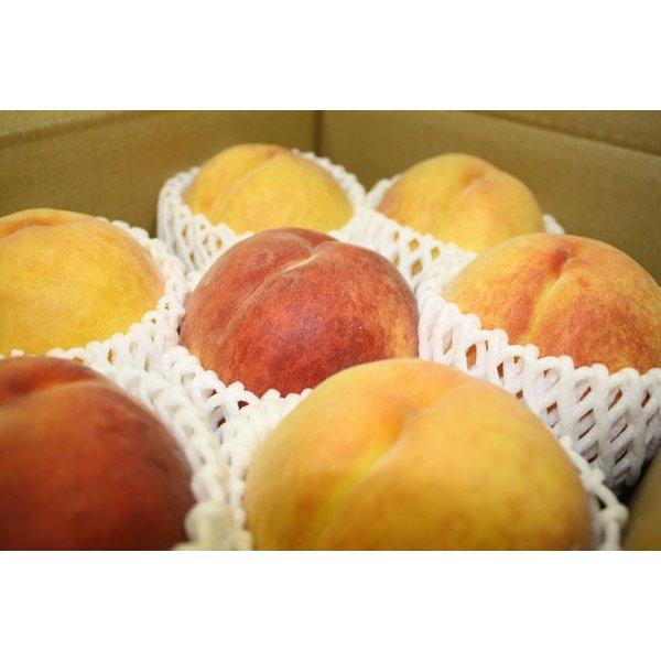 長野県産 ワッサー 約2kg 送料無料 桃 希少品種 : 旬彩ねっと