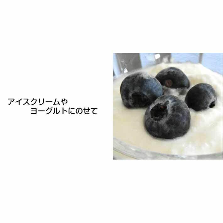 長野県産 訳あり 生ブルーベリー 不揃い １００ｇ×６Ｐ 送料無料｜syun-sai｜06