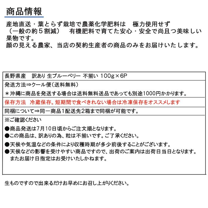 長野県産 訳あり 生ブルーベリー 不揃い １００ｇ×６Ｐ 送料無料｜syun-sai｜08