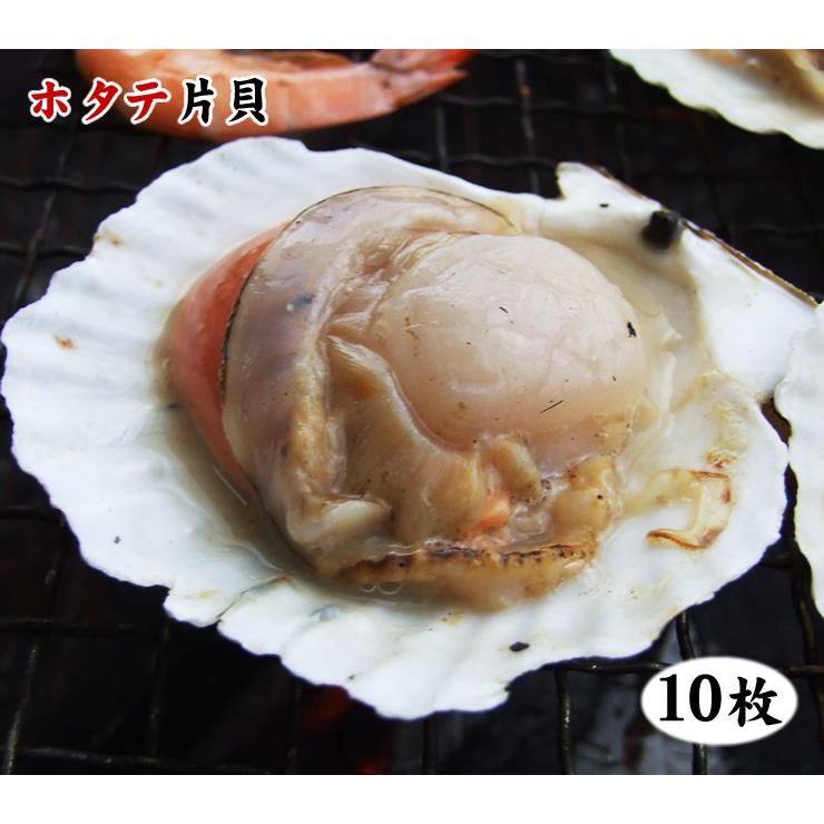 バーベキュー BBQセット 海鮮バーベキュー エビ & ホタテ貝 送料無料 天使の海老×10尾&ホタテ片貝10個セット 冷凍|syun-sakana|04