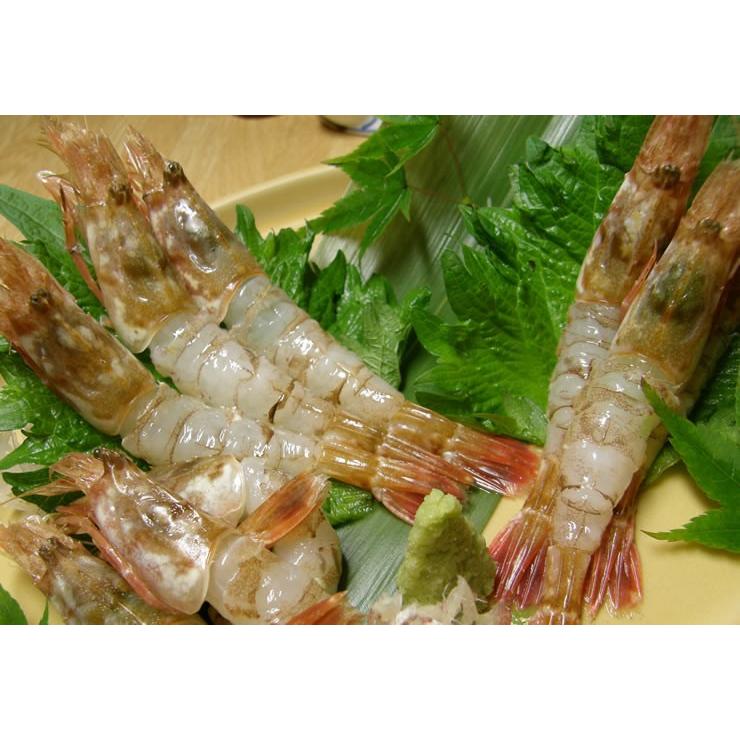 幻の海老 お刺身用 モサエビ 船内冷凍加工済 700g前後 40尾前後入 送料無料 日本海産 ギフト G Wakemosa1500 本物を追求する フォーシーズン 通販 Yahoo ショッピング