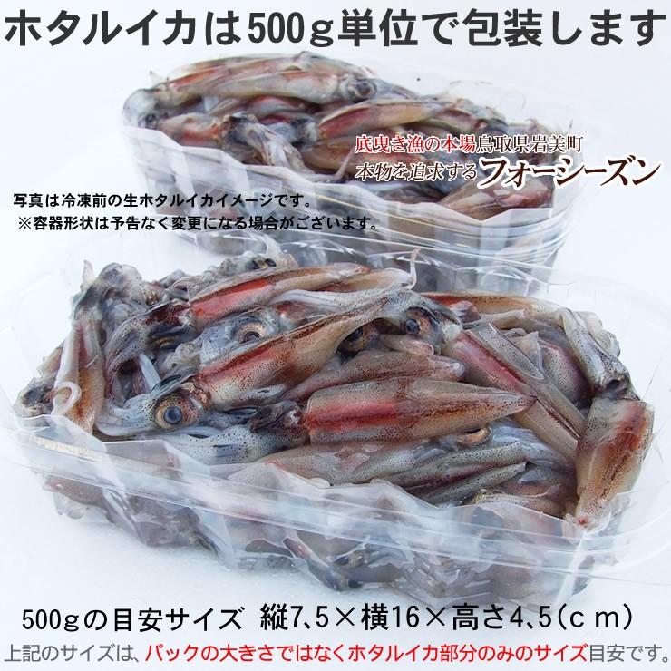 ホタルイカ 2025年 新物 A級 生 1kgセット 送料無料 * 蛍烏賊 ホタルイカ 2025年 新物 A級 生 1kgセット 送料無料 * 蛍烏賊