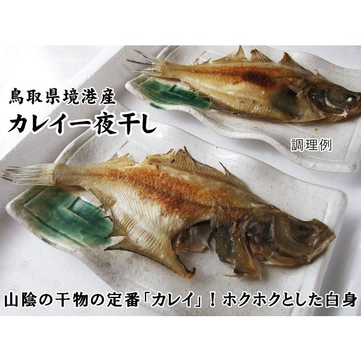 干物ギフトセット 5種類詰め合わせ 一夜干し 送料無料 ノドグロ 