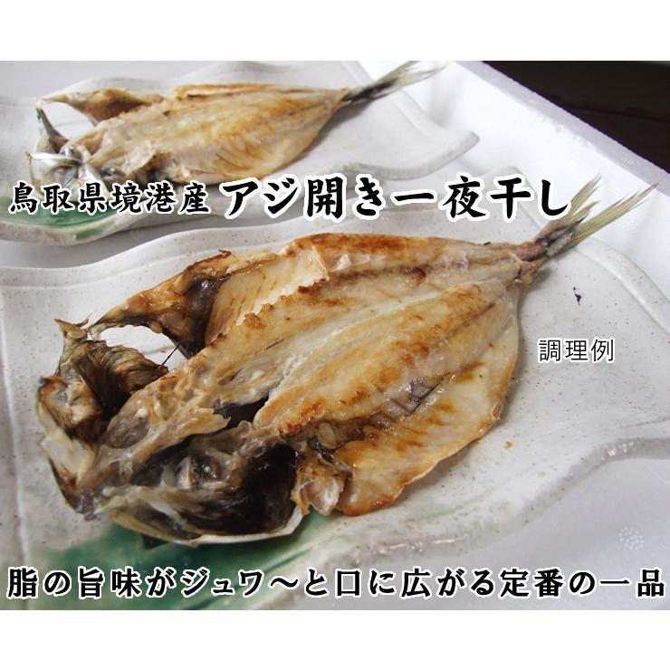 最大76 オフ 干物ギフトセット 5種類詰め合わせ 一夜干し 送料無料 ノドグロ スルメイカ はたはた カレイ アジ 冷凍 父の日 ギフト Materialworldblog Com