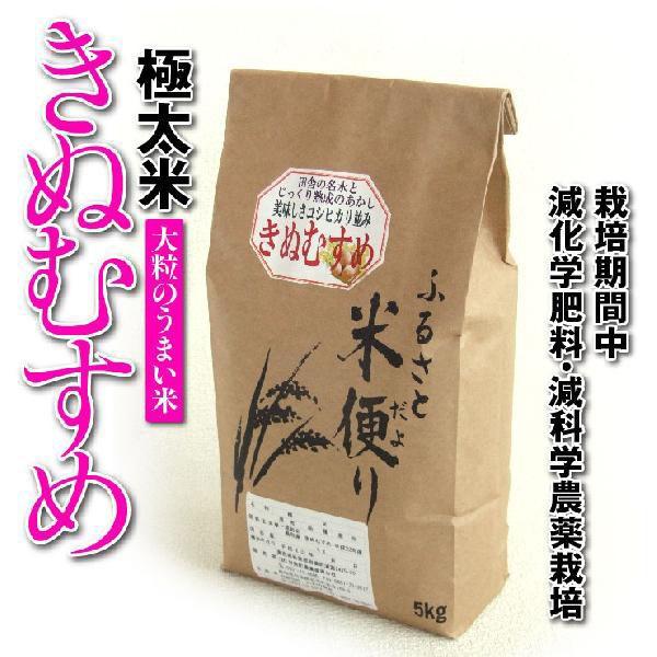 令和5年産 鳥取県産 極太米 きぬむすめ 10kg 送料無料  常温｜syun-sakana
