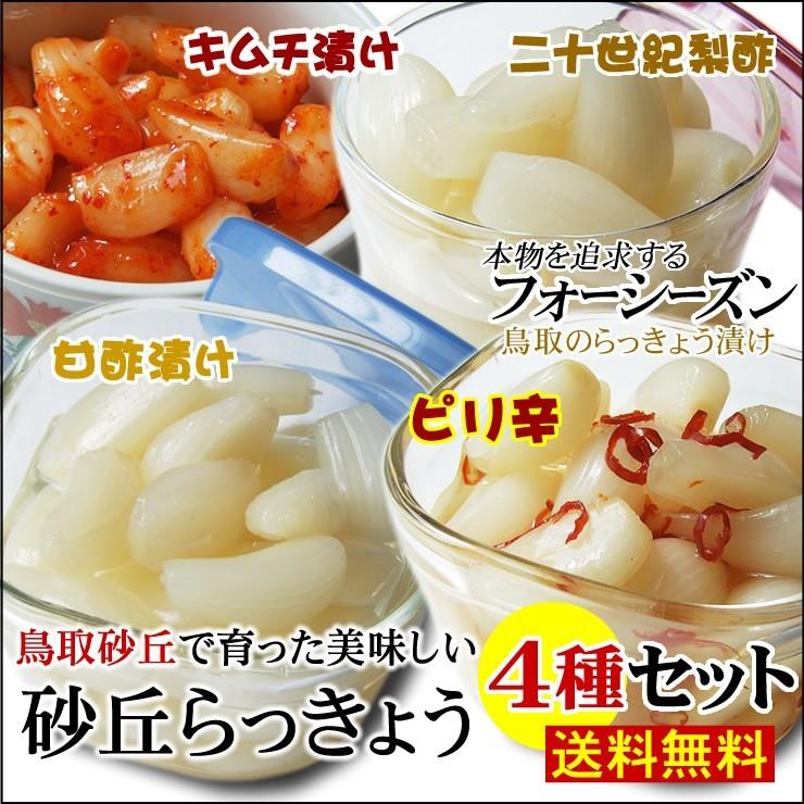 送料無料 砂丘らっきょう4種セット 甘酢漬け・ピリ辛漬け・二十世紀梨酢漬け・キムチ漬け 各300ｇパック 鳥取県福部町産ラッキョウ ギフト 常温 :  kouyarakkyo4syuset : 本物を追求する フォーシーズン - 通販 - Yahoo!ショッピング