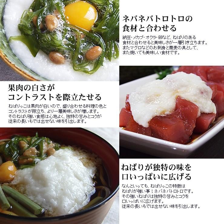 ギフト 特産品 名物商品 ねばりっこ 進物用 15-18本入 約10kg ギフト 特産品 名物商品 ねばりっこ 進物用 15-18本入 約10kg