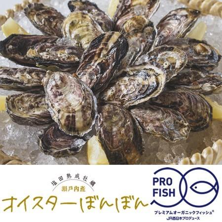 オイスターぼんぼん 養殖カキ 冷凍ハーフシェル24個セット 冷凍 広島県産 送料無料 プレミアムオーガニックフィッシュ Profish003r 本物を追求する フォーシーズン 通販 Yahoo ショッピング