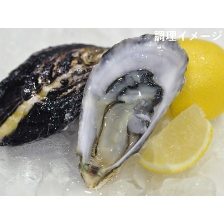 オイスターぼんぼん 養殖カキ 冷凍ハーフシェル24個セット 冷凍 広島県産 送料無料 プレミアムオーガニックフィッシュ Profish003r 本物を追求する フォーシーズン 通販 Yahoo ショッピング