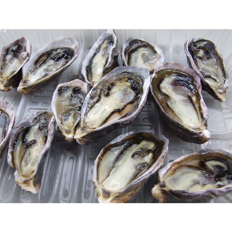 オイスターぼんぼん 養殖カキ 冷凍ハーフシェル24個セット 冷凍 広島県産 送料無料 プレミアムオーガニックフィッシュ Profish003r 本物を追求する フォーシーズン 通販 Yahoo ショッピング