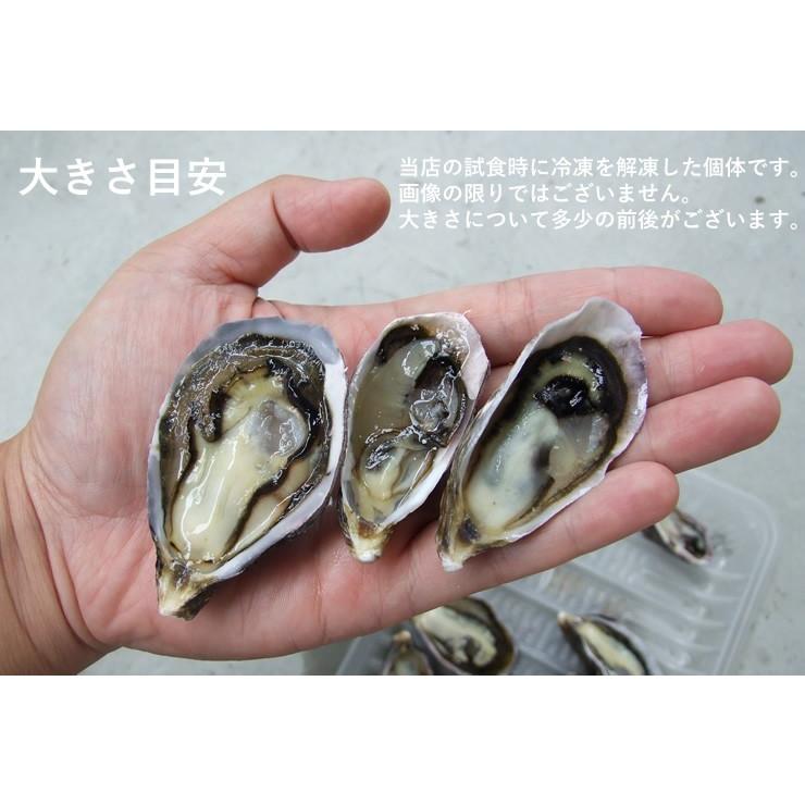 オイスターぼんぼん 養殖カキ 冷凍ハーフシェル24個セット 冷凍 広島県産 送料無料 プレミアムオーガニックフィッシュ Profish003r 本物を追求する フォーシーズン 通販 Yahoo ショッピング