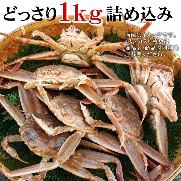 最終出荷30日まで！ セコガニ 親がに 勢子がに 訳あり 生 1kgセット 5-8枚程度入 送料無料 山陰産  かに カニ 蟹｜syun-sakana｜04