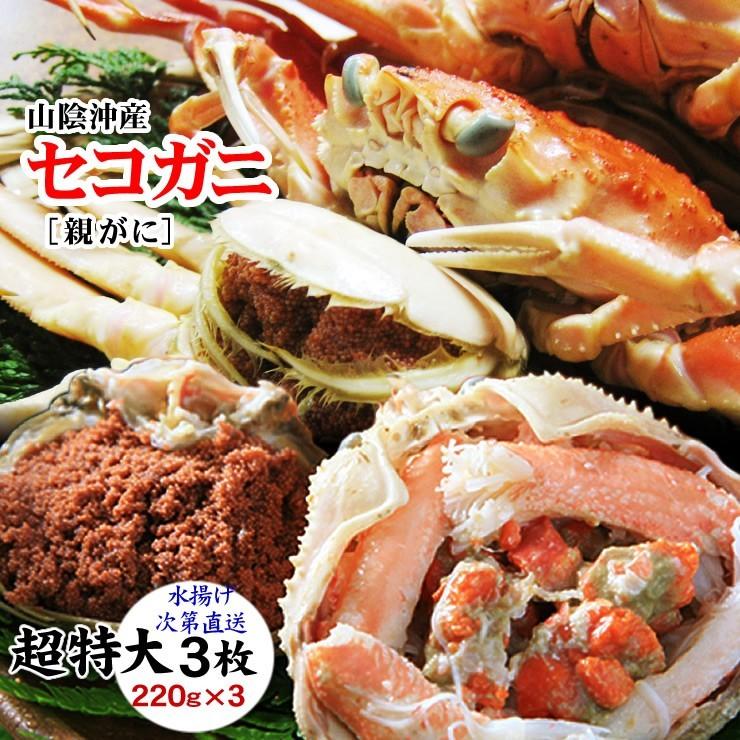 生 超特大 セコガニ 親がに 勢子がに 訳あり 3枚セット 220g前後が3枚入 送料無料 かに カニ 蟹 独特の素材 生 超特大 セコガニ 親がに 勢子がに 訳あり 3枚セット 220g前後が3枚入 送料無料 かに カニ 蟹 独特の素材