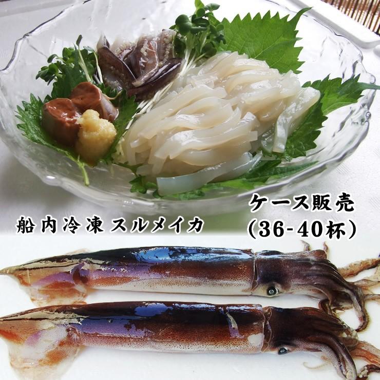 八戸産 船凍するめいか 5杯入 真いか 魚介類 イカ刺し 約1.3kg〜1.5kg 生 冷凍いか 船凍いか イカ 冷凍イカ 冷凍 お刺身 刺身用  お取り寄せ スルメイカ