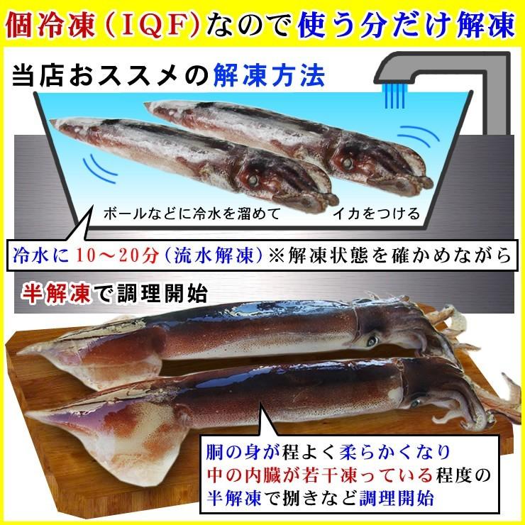 船内冷凍 スルメイカ 6杯セット 6杯入り 1ｋｇ程度セット 冷凍 お刺身用 送料無料 釣りたて船で急速冷凍 船凍イカ Sentoika1k 本物を追求する フォーシーズン 通販 Yahoo ショッピング
