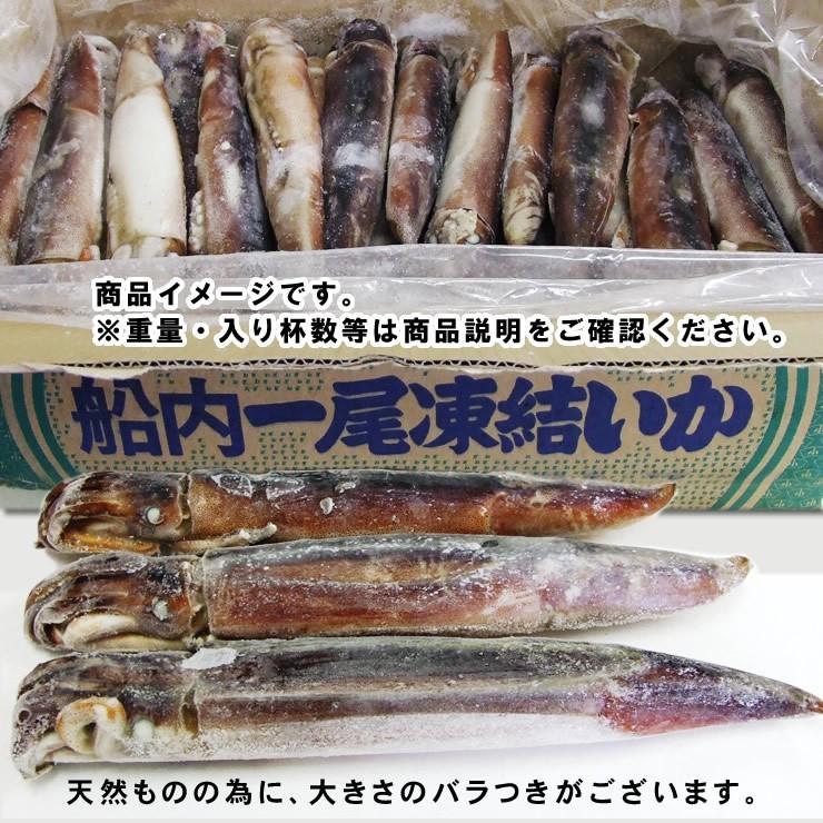 船内冷凍 スルメイカ 6杯セット 6杯入り 1ｋｇ程度セット 冷凍 お刺身用 送料無料 釣りたて船で急速冷凍 船凍イカ Sentoika1k 本物を追求する フォーシーズン 通販 Yahoo ショッピング