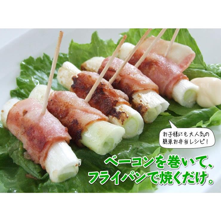 鳥取県産 白ねぎ 約3キロ 2L 2本×10束 冷蔵 送料無料 しろねぎ 鳥取県産 白ねぎ 約3キロ 2L 2本×10束 冷蔵 送料無料 しろねぎ