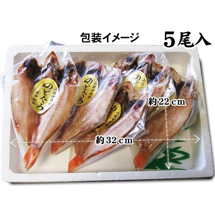 送料無料 ノドグロ 干物 ギフト 大 5尾セット 冷凍 山陰沖産のど黒 赤むつ 一夜干しセット  ギフト｜syun-sakana｜02