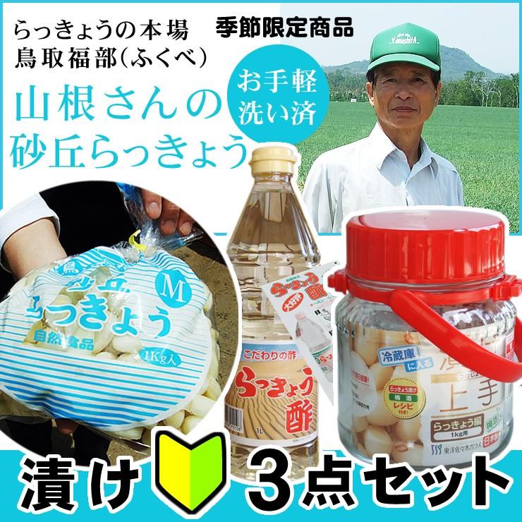 らっきょう ラッキョウ 送料無料 漬け初心者3点 らっきょう 酢 漬け瓶セット 本場福部産 山根さんの砂丘らっきょう1kg ｓ ｍサイズ 常温 Yamanerakyobinset 本物を追求する フォーシーズン 通販 Yahoo ショッピング