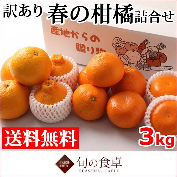 みかん 春の柑橘詰合せ 訳あり 3kg 送料無料 果物 フルーツ デコポン ぽんかん はっさく いよかん はるか M 旬の食卓 通販 Yahoo ショッピング