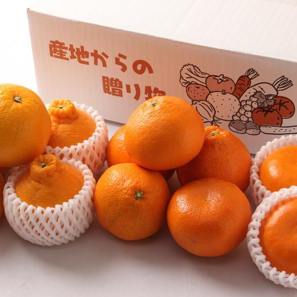 みかん 春の柑橘詰合せ 訳あり 3kg 送料無料 果物 フルーツ デコポン ぽんかん はっさく いよかん はるか M 旬の食卓 通販 Yahoo ショッピング
