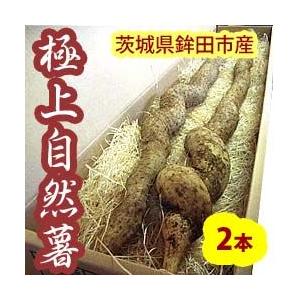 鉾田市産の極上自然薯は風味 粘り 甘さが素晴らしい逸品です ギガランキングｊｐ