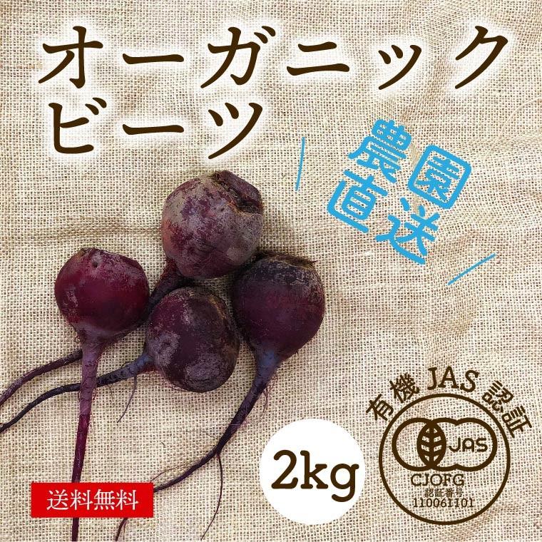 有機ビーツ 2kｇ オーガニック ビーツ 有機栽培 有機野菜 野菜 化学肥料 農薬不使用 産地直送 送料無料 Sサイズ A 11 旬彩ファーム 通販 Yahoo ショッピング