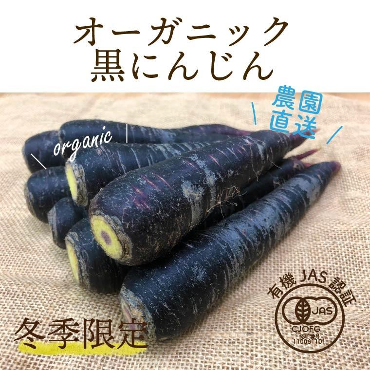 有機黒にんじん 3kg オーガニック黒にんじん 有機栽培 人参 野菜 化学肥料 農薬不使用 無農薬 にんじんジュース 産地直送 送料無料 A 17 旬彩ファーム 通販 Yahoo ショッピング