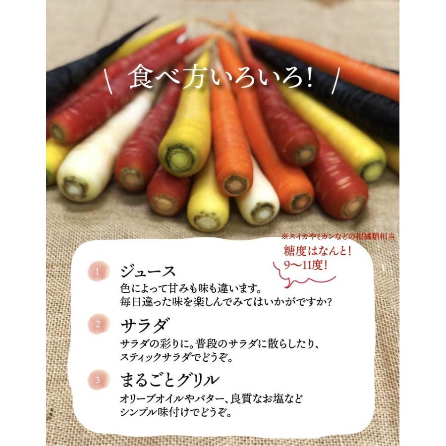 有機栽培 カラフルにんじん 5kg 人参 無農薬 送料無料 オーガニック 有機にんじん ニンジン 人参ジュース 産地直送 有機野菜 A 23 旬彩ファーム 通販 Yahoo ショッピング