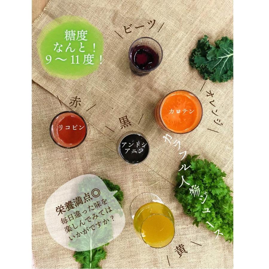 有機栽培 カラフルにんじん 5kg 人参 無農薬 送料無料 オーガニック 有機にんじん ニンジン 人参ジュース 産地直送 有機野菜 A 23 旬彩ファーム 通販 Yahoo ショッピング